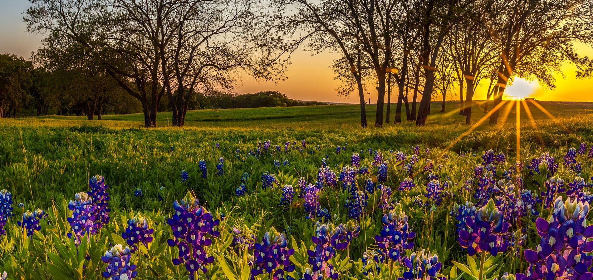 Concrete contractors in Reno, TX