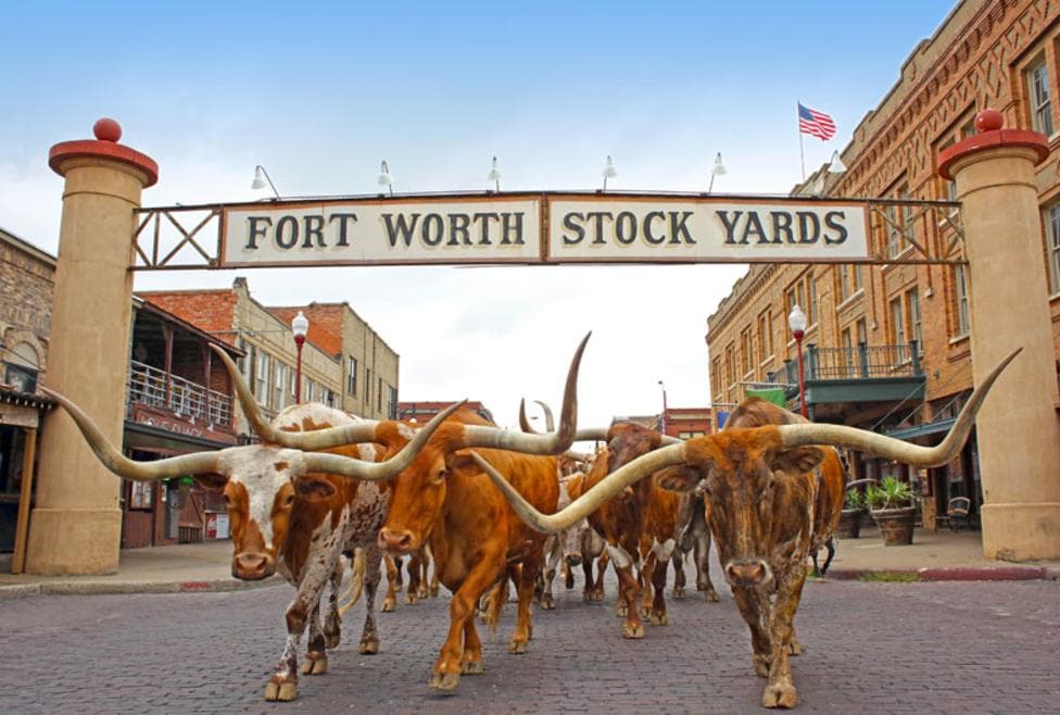 Concrete contractors in Stockyards Fort Worth, TX